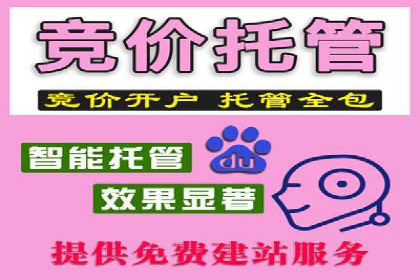 百度推广技巧分享：成功案例解析